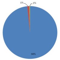 98% услуг, оказанных гражданам России в 2013 году на портале gosuslugi.ru – федеральные госуслуги