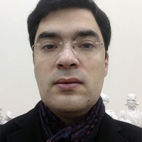 О корпоративной вуали с точки зрения российских законов