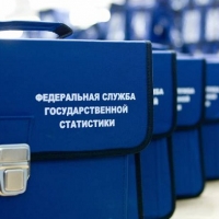 Перепись населения-2020 частично пройдет онлайн