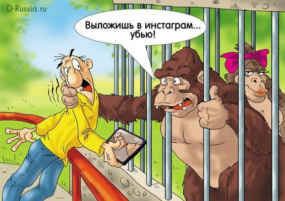 Александр Ермолович (с) D-Russia.ru