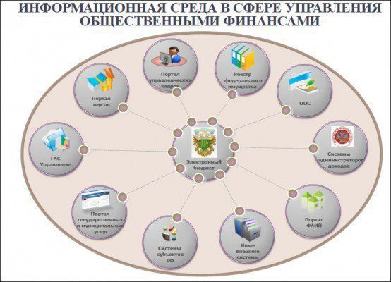 Рис. 1. Информационная среда в сфере управления общественными финансами