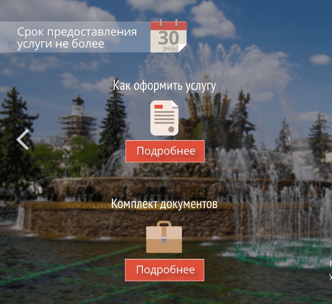 москва мфц госуслуги инструкции