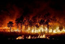 Закон об обязательном оповещении операторами абонентов о ЧС подписан президентом