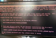 Вирус, подобный WannaCry, атаковал Россию и Украину: главная проблема не в экономическом ущербе