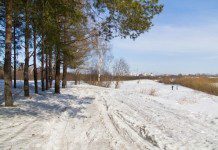 Геоинформационная система Вологодской области поможет в управлении сетью особо охраняемых природных территорий