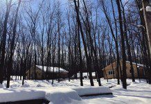 В Белгороде организуют IT-лагерь для школьников