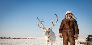 оленевод