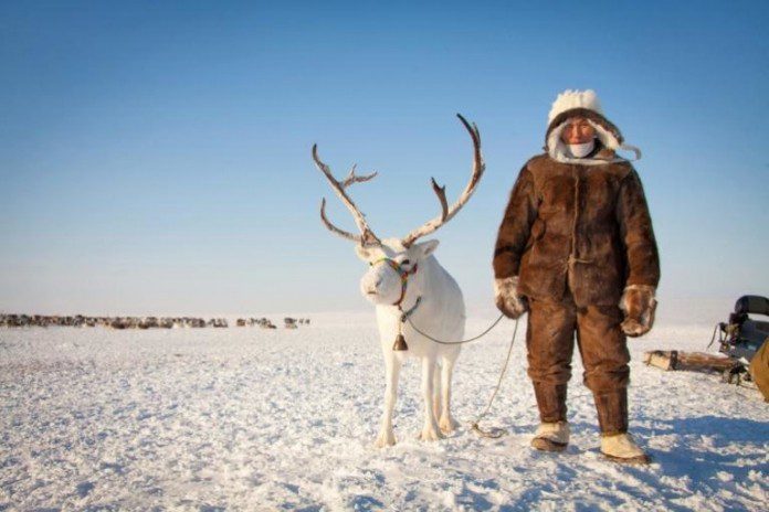 оленевод