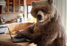 New York Times подала иск к FCC из-за сетевой нейтральности