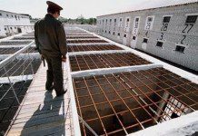 ФСИН намерена запретить мобильную связь в колониях