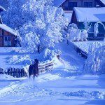 Минкомсвязь планирует обеспечить недискриминационный доступ к созданной инфраструктуре связи в малых поселениях