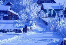 Утверждён перечень из 24+ тысяч населённых пунктов для обеспечения Интернетом и сотовой связью