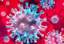 Роскомнадзор предупредил об ответственности за распространение ложной информации о коронавирусе