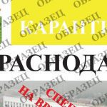 Как регионы внедряют цифровые пропуска на выход из дома