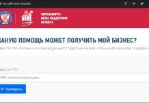 ФНС запустила сервис о мерах поддержки бизнеса