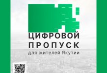 Мининноваций Якутии поручено обеспечить работу системы цифровых пропусков на территории региона