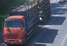 В Прикамье внедрена система автоматического отслеживания вывоза круглого леса