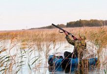 Правила взаимодействия государственных и коммерческих ИС для охотников определены в Новосибирской области