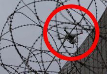 Утверждён порядок принятия решения об уничтожении дронов в небе над местами лишения свободы