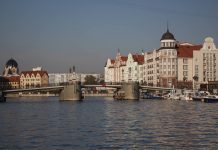 Бесплатные онлайн-курсы по информационной безопасности заработали в Калининградской области