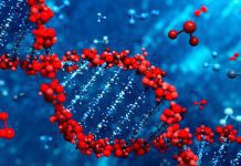 Геномную информацию предложено считать биометрическими персональными данными – законопроект