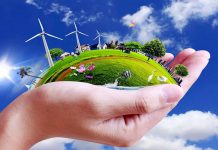 Подписан закон об обязательной публикации экологической информации на сайтах госорганов