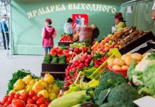 На портале mos.ru стартовал приём заявок на участие в ярмарках выходного дня в Москве