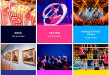 Тулякам с цифровым паспортом вакцинации предложили бесплатно посещать спортивные и культурные мероприятия