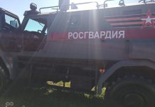 Минцифры получило полномочия для разработки ПО для Росгвардии