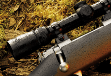 В Новосибирской области лицензии на охоту на лосей и косуль выдал генератор случайных чисел