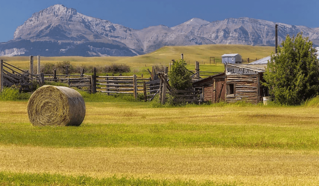 Сельская америка. Rural America. Рурал. Красивые картинки на рабочий rural America. NY mag rural America.