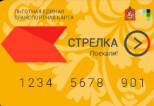 На подмосковном портале госуслуг оптимизировали выдачу карты «Стрелка»
