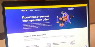 Скриншот сайта цифровой платформы МСП