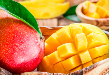 Держать перед монитором следует не кактусы, а манго – не британские, но тоже учёные Манго