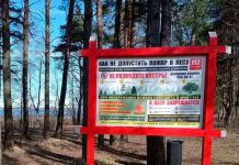 В Санкт-Петербурге с помощью нейросети улучшена система обнаружения лесных пожаров