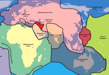 Google, Twitter и экстремистская Meta подпали под определение «очень больших» онлайн-платформ в ЕС