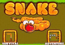 Игра Snake