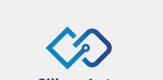 Логотип SiliconAuto