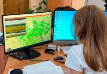 Миницфры Владимирской области сообщило о результатах применения ИИ-системы для мониторинга лесных пожаров