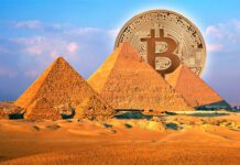 Большинство раскрытых ЦБ финансовых пирамид 2023 года принимали криптовалюту