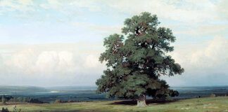 И. И. Шишкин «Среди долины ровныя…» 1883