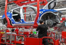 «Технофашист» Маск и «самые тупые экотеррористы в мире» – противостояние