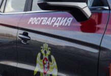 Росгвардия получила полномочия по созданию ГИС в сфере оборота оружия и охранной деятельности Автомобиль с цветографической схемой Росгвардии