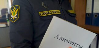 Алименты