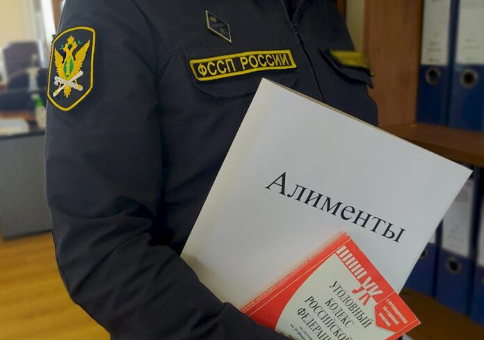 Алименты