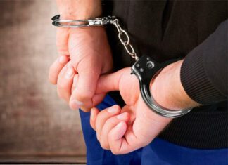 Фото (с) freepik.com 