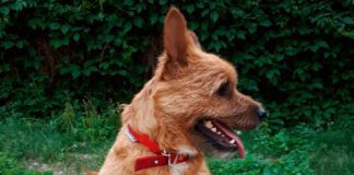 Фото (с) Андрей Анненков