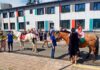 Фото (с) ГАУ РРЦ «Салют»