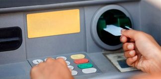 Фото (с) freepik/Drazen Zigic