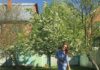 земельный участок дом дача (с) Татьяна Барышева